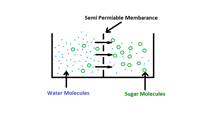 RO (Reverse Osmosis)​-1